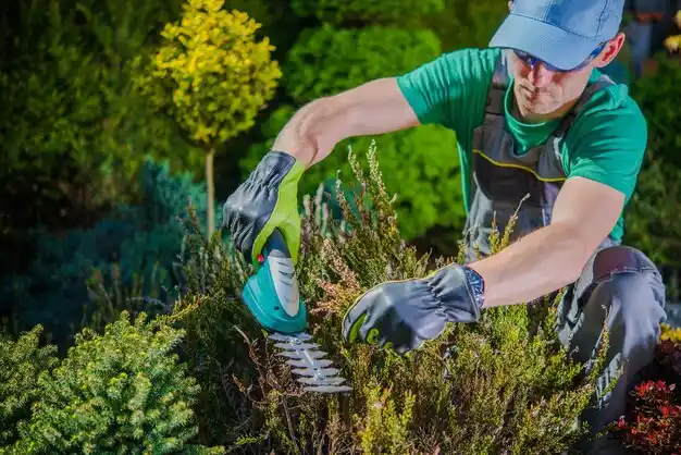 landscaping services Lake Grove